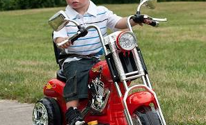 The Kindergardener Motorcycle Gang (KMG) strikes back!