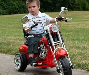 The Kindergardener Motorcycle Gang (KMG) strikes back!