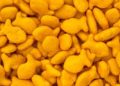 Scientists in Denver declare goldfish good for you