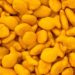 Scientists in Denver declare goldfish good for you