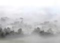 Flexible Fog Formula Fascinates Scientists