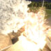 3 Kerbals killed in rocket explosion